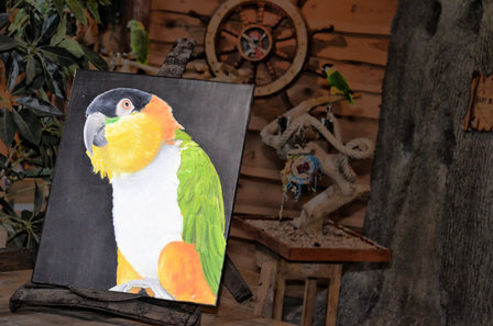 Zwartkop Caique Olieverf Schilderij