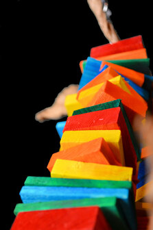 Funky - papegaaienspeelgoed - dieca - 2