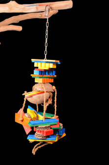 papegaaienspeelgoed - dieca - coco rocko - 5