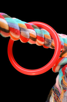 Papegaaienspeelgoed schommel