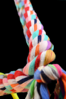 Papegaaienspeelgoed schommel