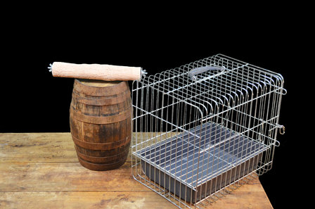 Slijtstok Reiskooi 31 cm