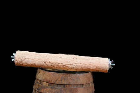 Slijtstok Reiskooi 31 cm