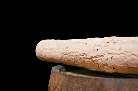 Slijtstok Reiskooi 31 cm