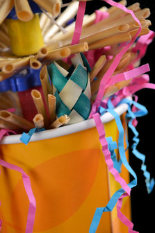 Papegaaienspeelgoed - dieca - puch bowl 2