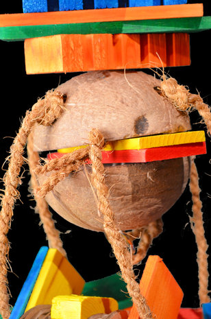 papegaaienspeelgoed - dieca - coco rocko - 4