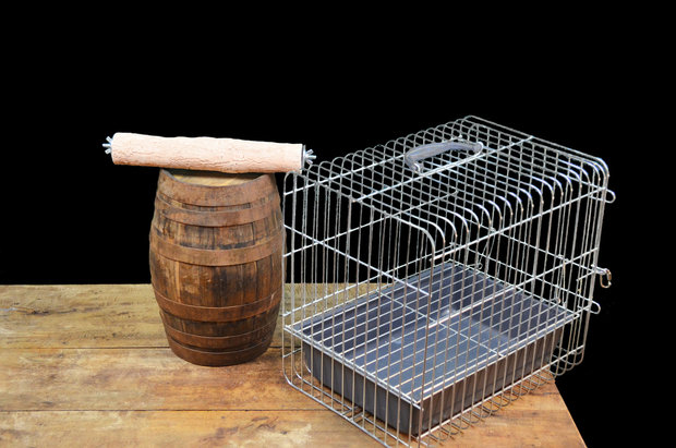 Slijtstok Reiskooi 31 cm