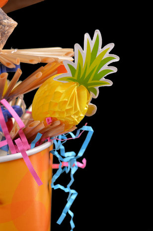 Papegaaienspeelgoed - dieca - puch bowl 3